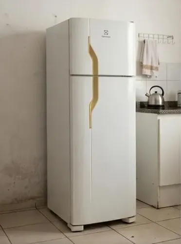Electrolux DC44 Cycle Defrost 362L (Usada)