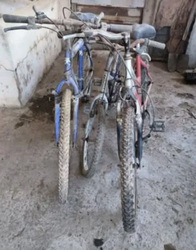 Bicicletas
