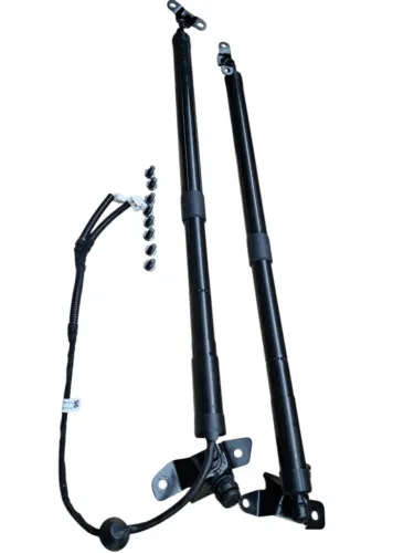 Par Amortecedor Elétrico Tampa Traseira Hrv Touring 23 A 25