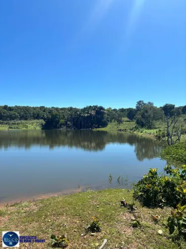 Fazenda à Venda em Faina-GO | 29 Alqueires | Pecuária, Agricultura e Lazer