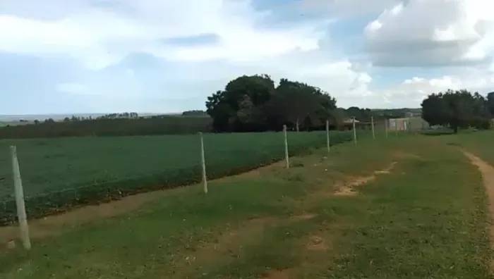 Fazenda 18 hectares Só 750mil produzindo Soja próximo Brasília DF em Luziânia GO