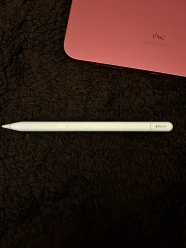 Apple Pencil Original USB-C ( caneta )