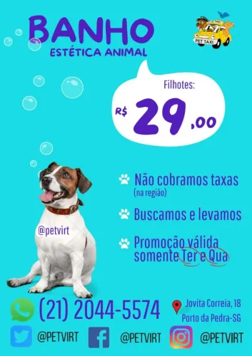 Banho e tosa