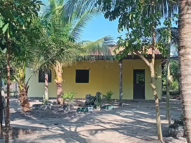 Sitio a venda em Manacapuru na Am352, estrada que vai a Novo Airão km33