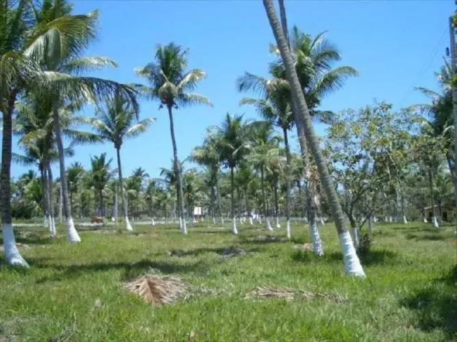 Excelente e amplo terreno 1500m Porto Coqueiral - Porto de Galinhas