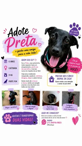 ADOTE A PRETA