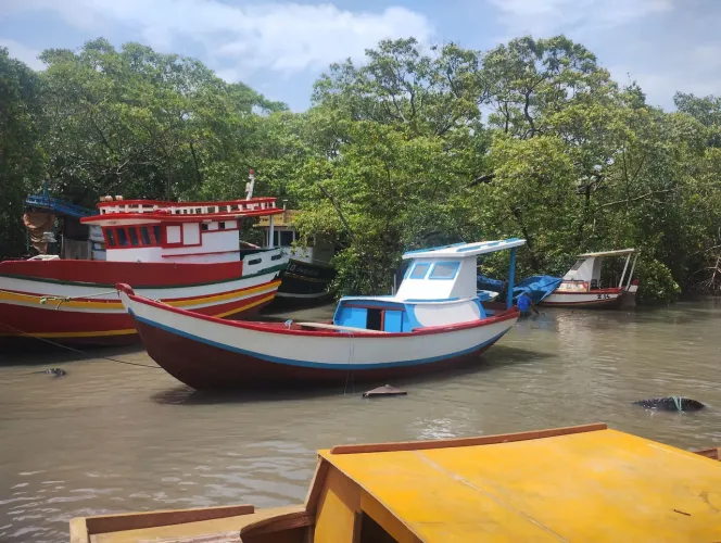 Vende-se Biana semi nova, acabou de sair da reforma.