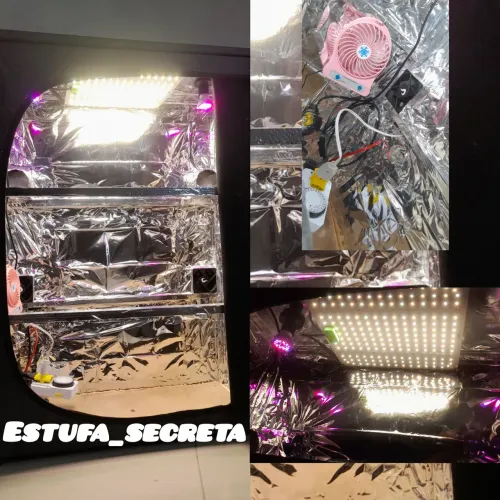 Estufa Cultivo Sapateira Grow 100 x 70 x 32 exaustores e dupla iluminação Completa bivolt 