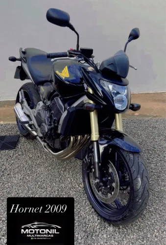 Hornet 600 