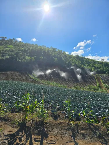 Terreno campo do Coelho