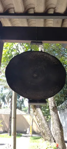 Disco de arado