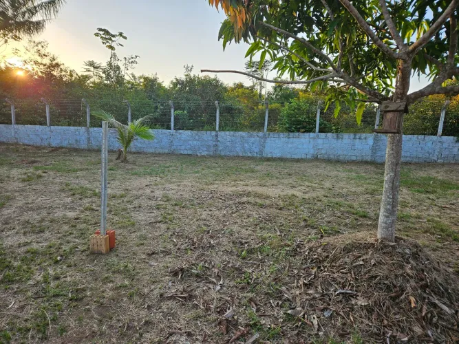 Lote Chácaras Janauary 3