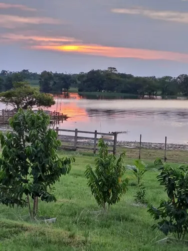Fazenda para venda tem 3.000 Hectares, com búfalos, gado e trator em Santarém.PA