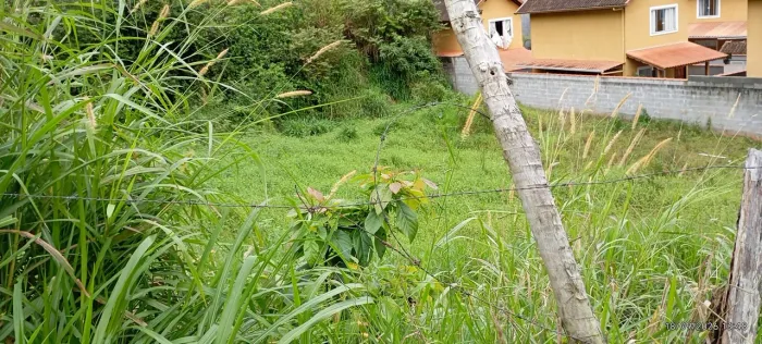 Alugo terreno 1000m2 ou dois de 500m2