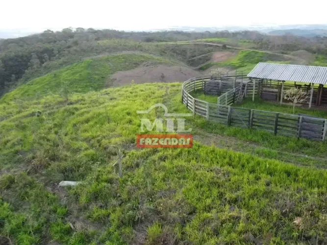 Fazenda 31 alqueires (150,04 hectares) Pires Do Rio - Go