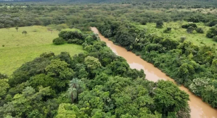 Fazenda / Sítios / Chácaras à venda em Buritis