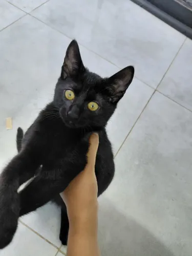 Doação