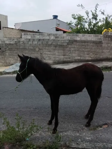 Vende-se