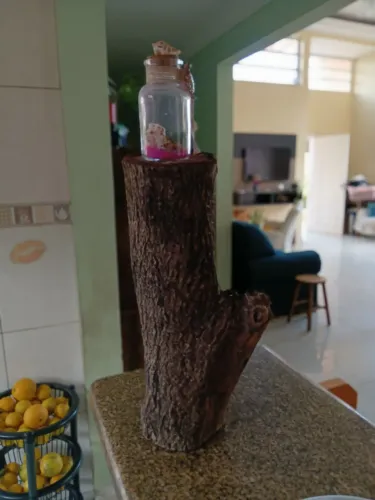 Troncos rústicos 