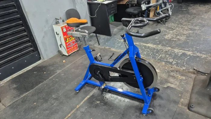 Vendo bike spinning schiwinn pro