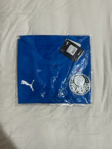 Camisa Palmeiras Goleiro G 2023 modelo jogador
