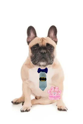 Laços e Gravatinha para cachorro - Vários Modelos ?