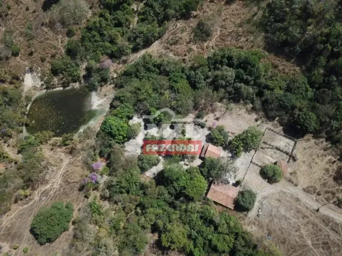 Fazenda 45 alqueires (217,8 hectares) Araguapaz - Go