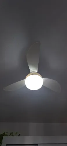 Ventilador de teto com controle