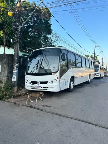 Vende ou aluga