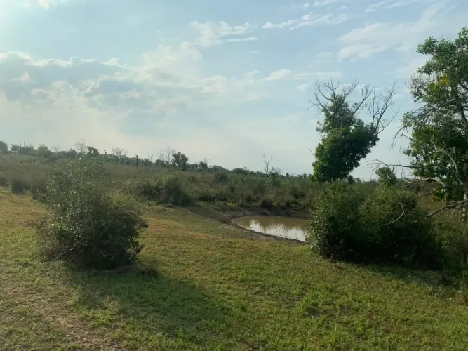 COD537- FAZENDA DE 1.540 HECTARES Á VENDA EM CORUMBÁ/MS