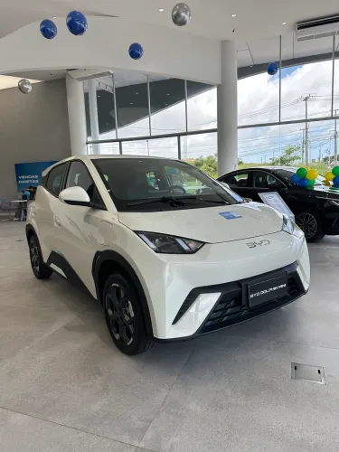 BYD Dolphin Mini (Elétrico) 2027