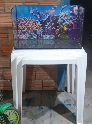 Aquário 