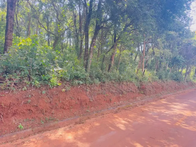 Terreno à venda, 1000 m² por R$ 95.000 - Zona Rural - Itatiaiuçu/MG