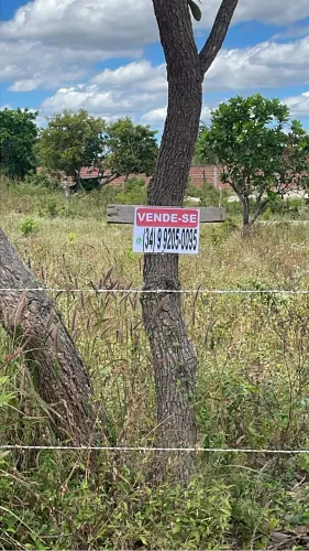 Terreno no cavalo bravo