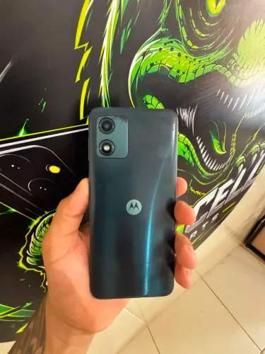 E13