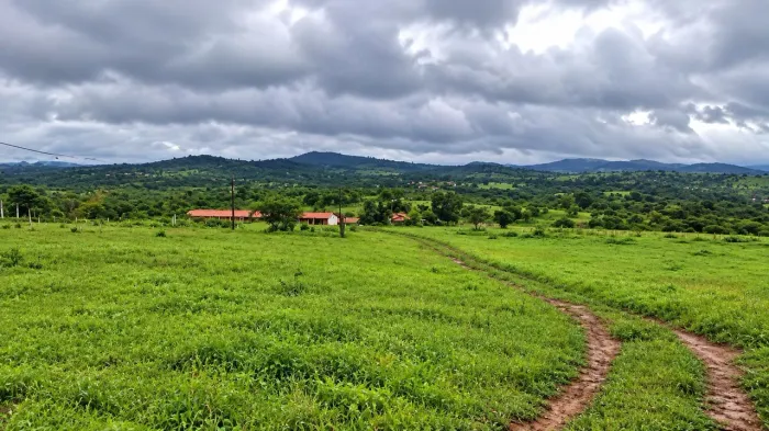 VENDE-SE 10 TAREFAS DE TERRA SANTO ESTÊVÃO BA