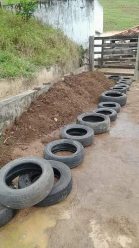 Esterco Bovino Curtido - Adubo Orgânico para Plantas e Hortas