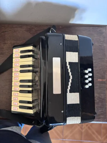 Acordeon 8 baixos Michael