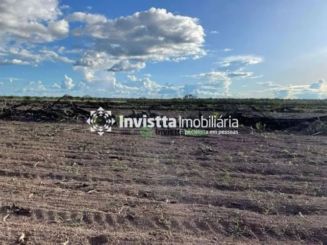Fazenda de 265 alqueires com topografia 100% plana no Vale do Araguaia - TO