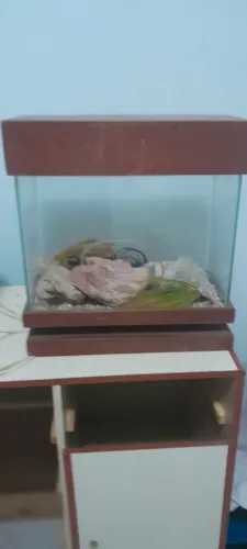 Aquário 