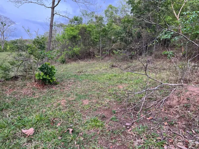 5 alqueires município de piracanjuba sentido caldas 650 mil