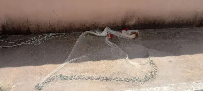 Tarrafa de pesca