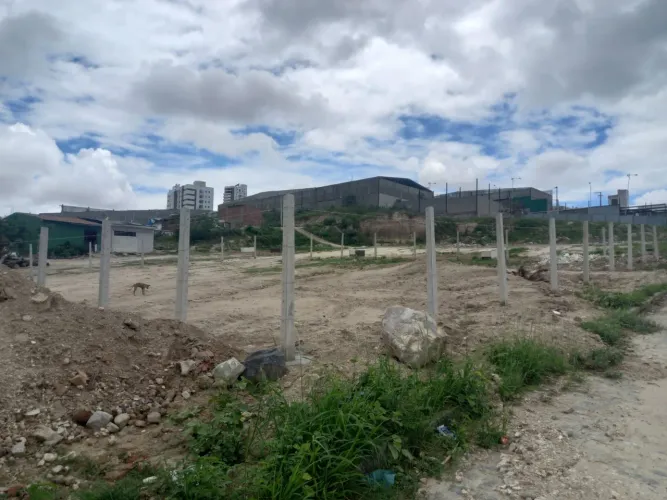 Terreno