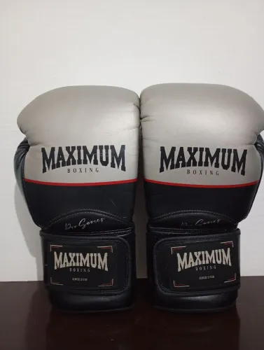 Luvas profissionais Maximum 16oz prateada