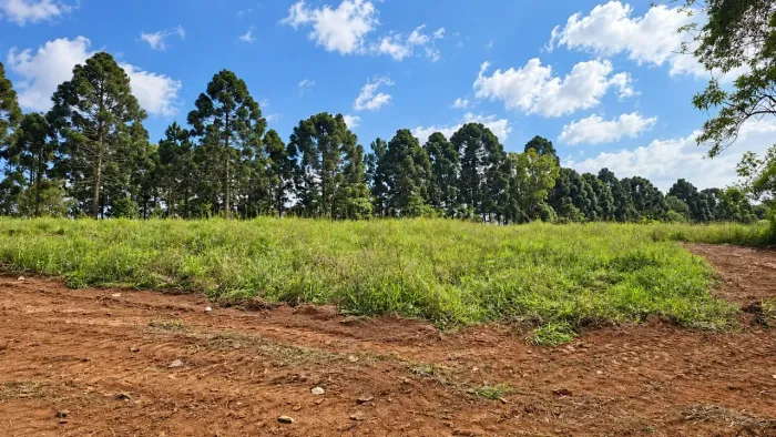 Terrenos no Jardins de Madri com Natureza e Privacidade