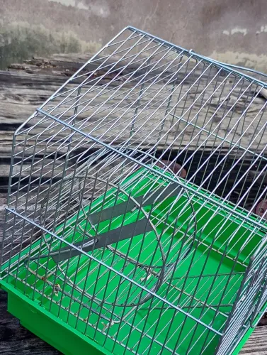 Viveiro para Hamster