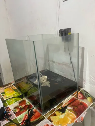 AQUÁRIO COMPLETO DE 60L