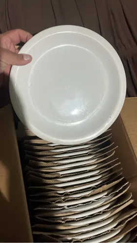 Pratos rasos para restaurante ou lanchonete