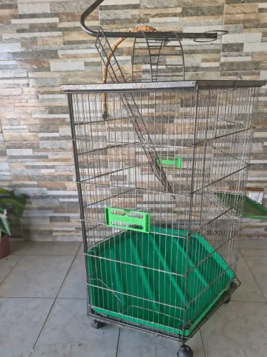 Vendo gaiola 250 $