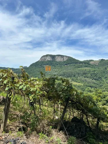 Chácara Terceira Légua - Caxias do Sul